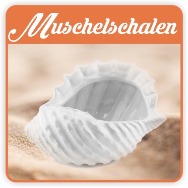 Muschelschalen Muschelschalen